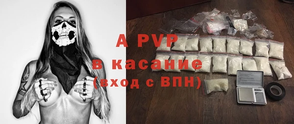 сатива Касимов