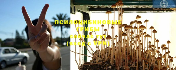 таблы Карпинск