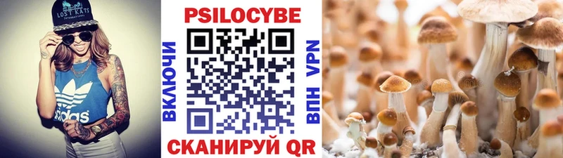 Галлюциногенные грибы Psilocybine cubensis  Купить закладки  Тюкалинск 
